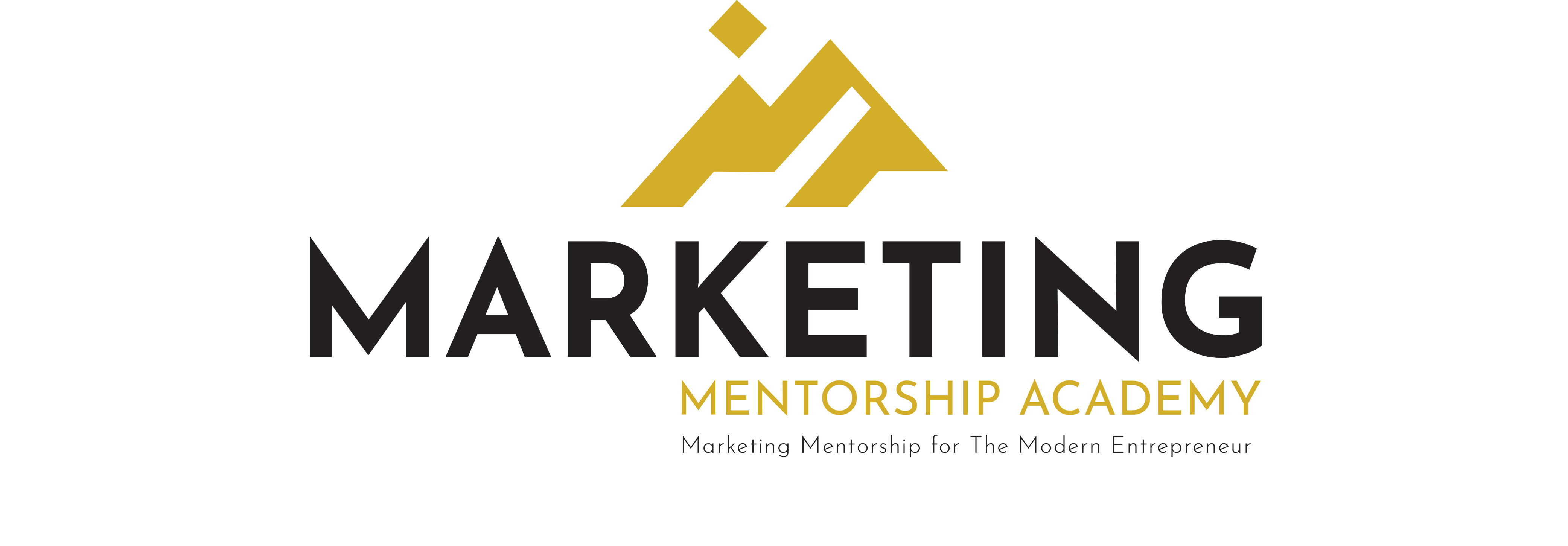 Marketing  Mentorship Academy